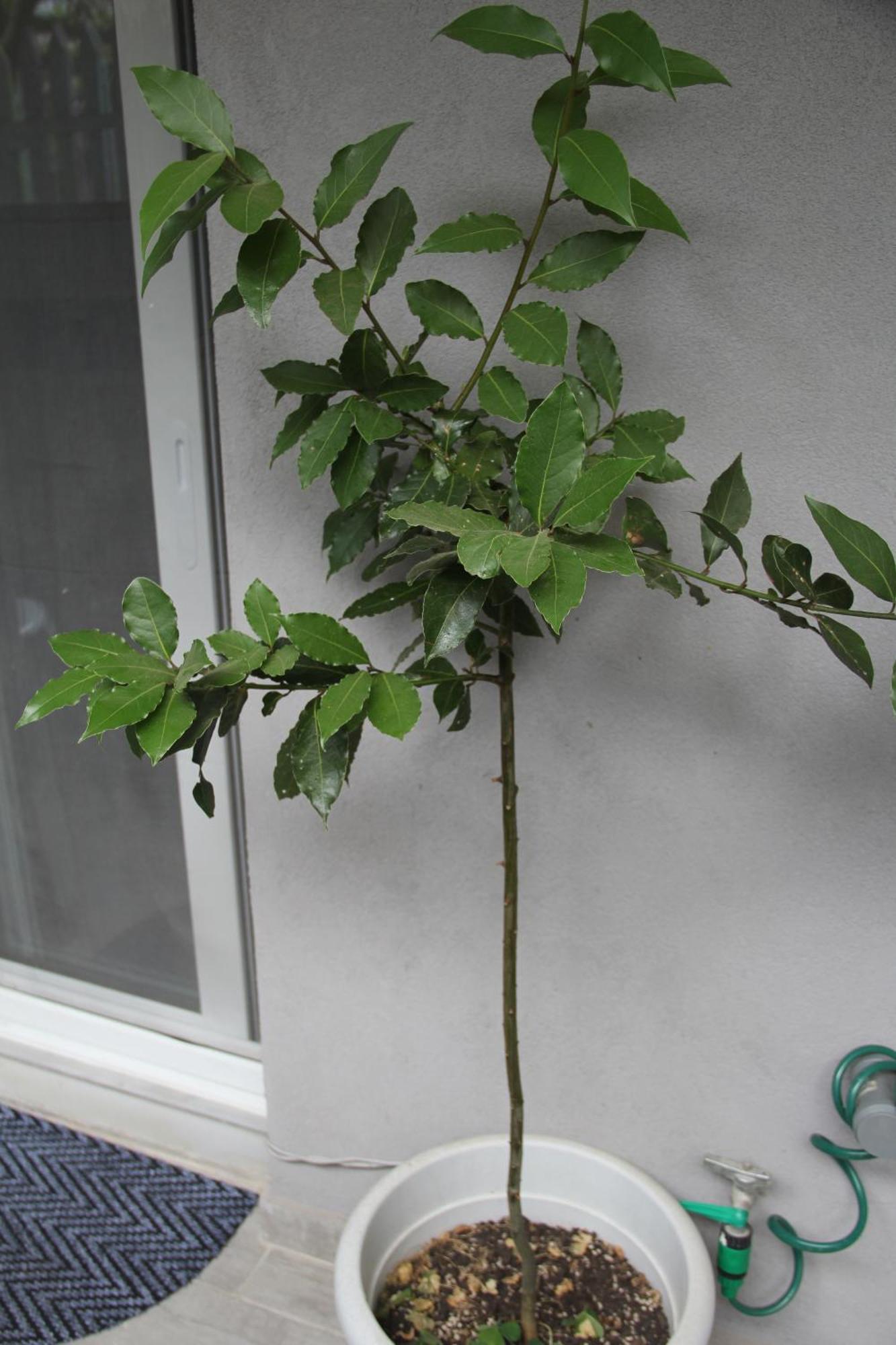 Apartment Patra Greece ภายนอก รูปภาพ